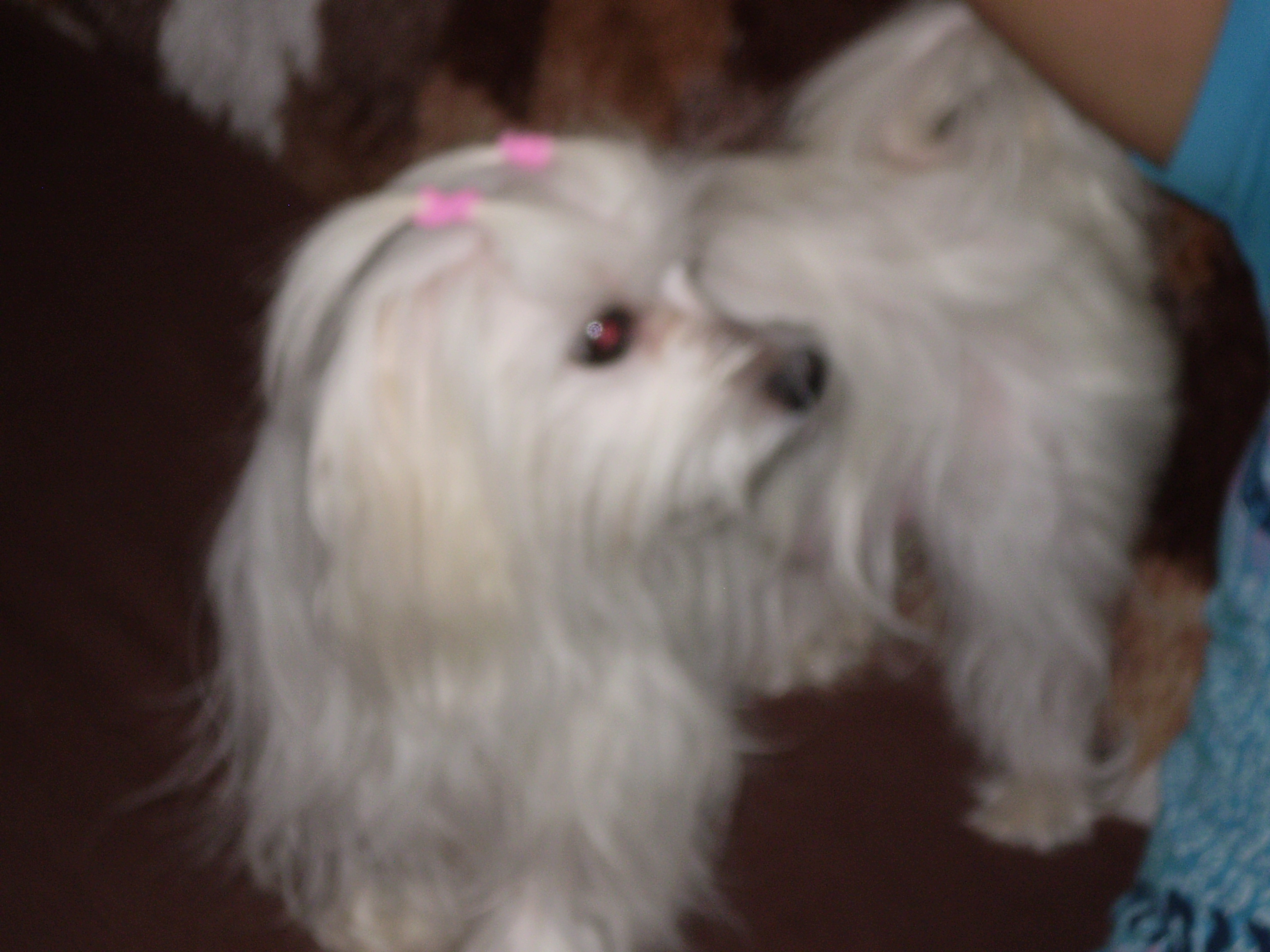 Snímek 008.jpg
