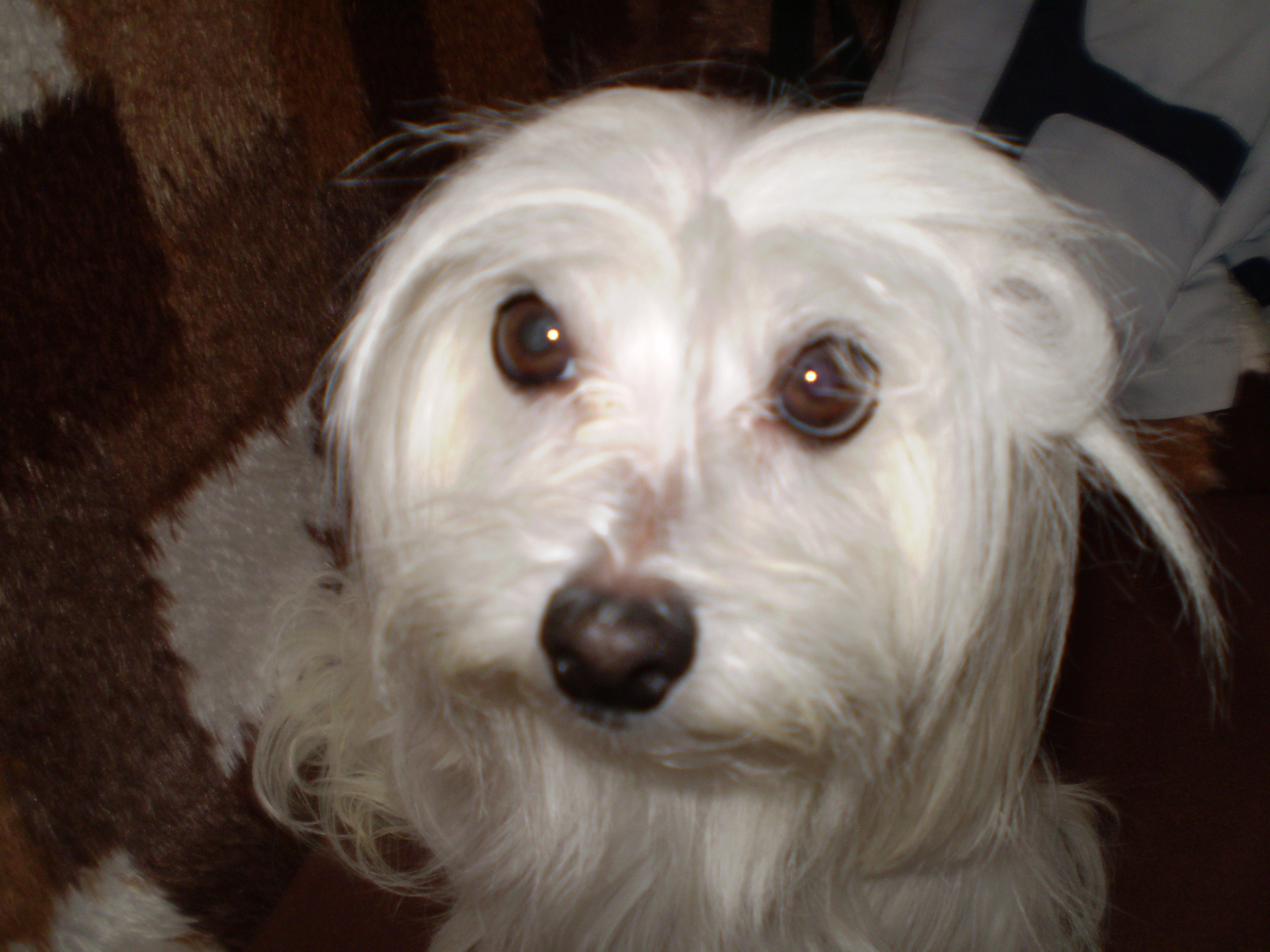 Snímek 021.jpg