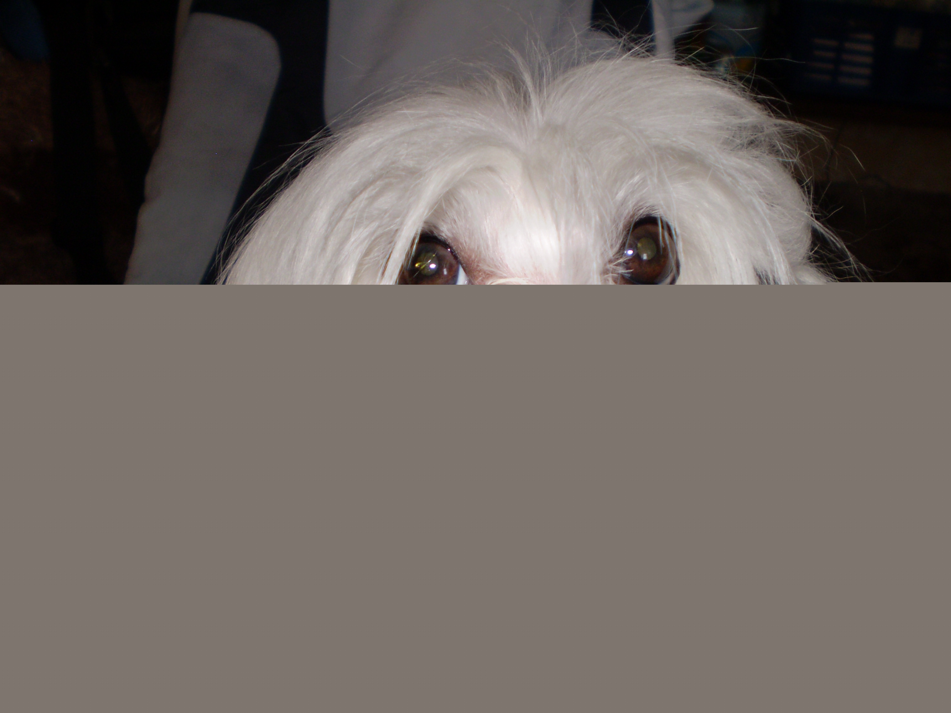 Snímek 029.jpg